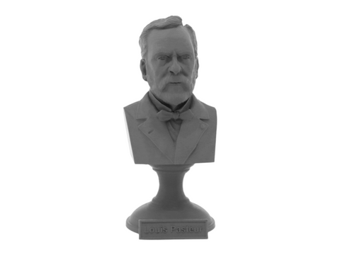 Louis Pasteur, 5-inch Bust on Pedestal, Gray