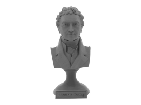 Thomas Young, 5-inch Bust on Pedestal, Gray