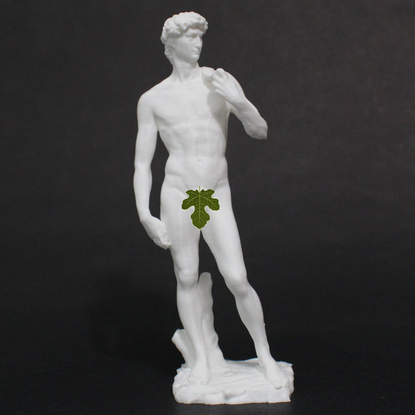 Michaelangelo's David Replica