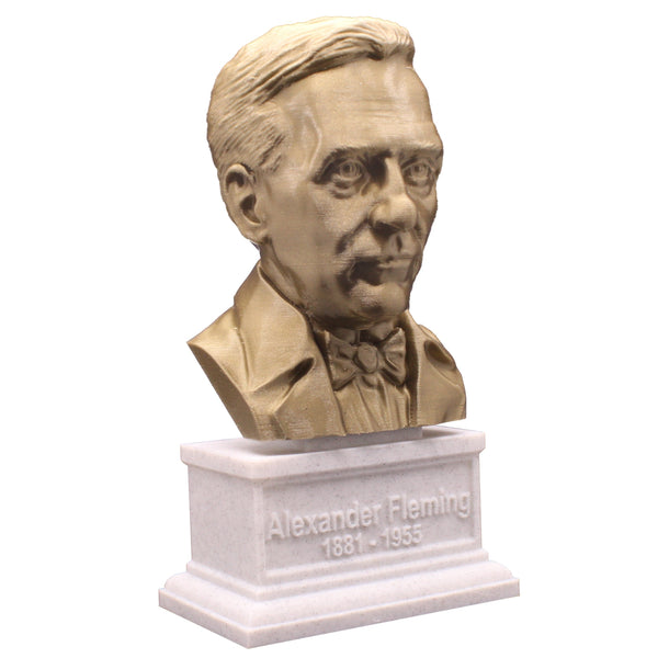 Alexander Fleming Famous Scottish Biologist, Physician, and Pharmacologist Sculpture Bust on Box Plinth