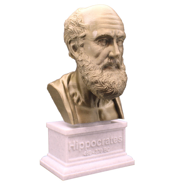 Hippocrates of Kos Greek Physician Father of Medicine Sculpture Bust on Box Plinth
