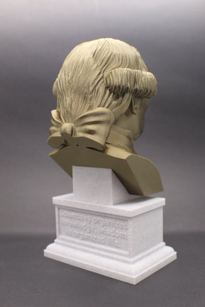Immanuel Kant Enlightenment Philosopher Sculpture Bust on Box Plinth