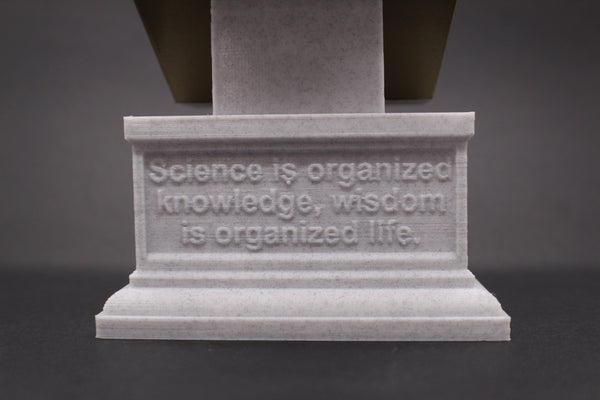 Immanuel Kant Enlightenment Philosopher Sculpture Bust on Box Plinth