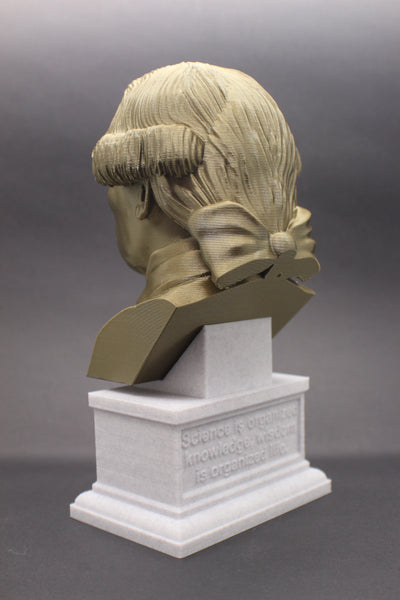 Immanuel Kant Enlightenment Philosopher Sculpture Bust on Box Plinth