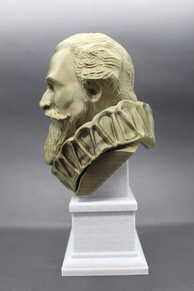 Johannes Kepler German Astronomer Sculpture Bust on Box Plinth