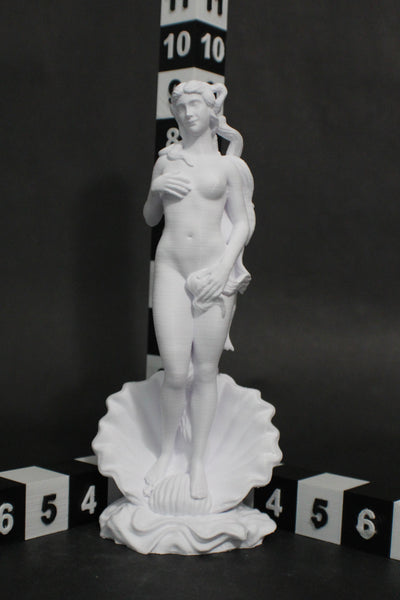 Birth of Venus Original Statue