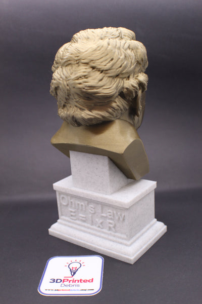Georg Ohm Famous German Physicist and Mathematician Sculpture Bust on Box Plinth