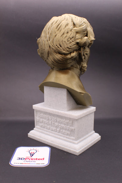 Michael Faraday Famous British Electromagnetic and Electrochemical Scientist Sculpture Bust on Box Plinth