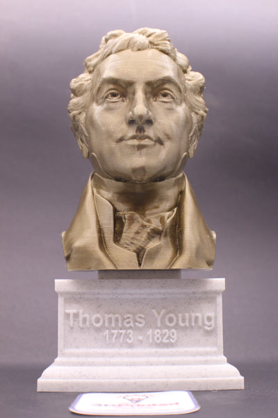 Thomas Young Famous British Physicist, Mathematician, and Mechanical Engineer Sculpture Bust on Box Plinth
