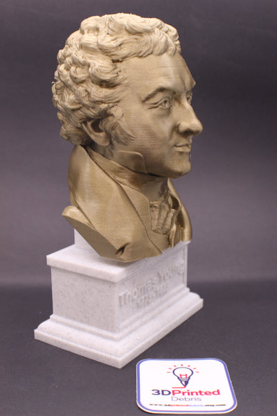 Thomas Young Famous British Physicist, Mathematician, and Mechanical Engineer Sculpture Bust on Box Plinth