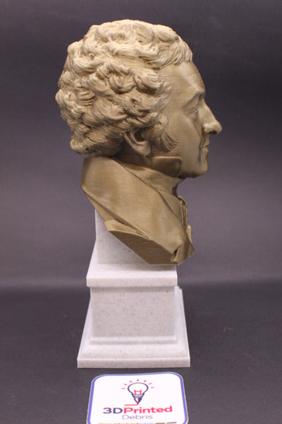 Thomas Young Famous British Physicist, Mathematician, and Mechanical Engineer Sculpture Bust on Box Plinth