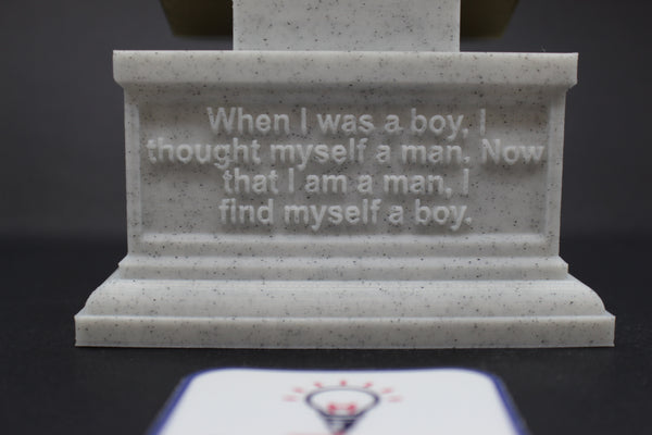 Thomas Young Famous British Physicist, Mathematician, and Mechanical Engineer Sculpture Bust on Box Plinth