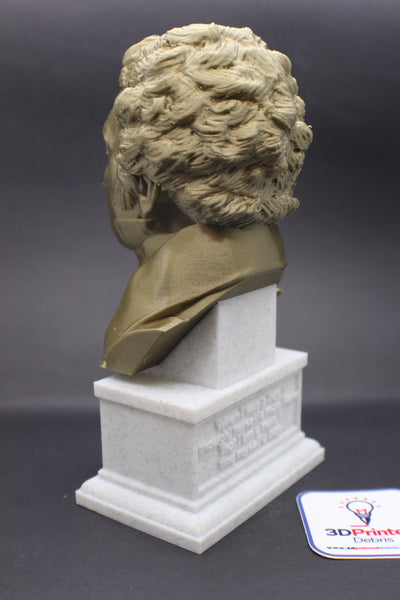 Thomas Young Famous British Physicist, Mathematician, and Mechanical Engineer Sculpture Bust on Box Plinth