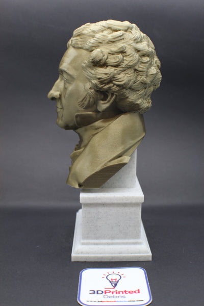 Thomas Young Famous British Physicist, Mathematician, and Mechanical Engineer Sculpture Bust on Box Plinth