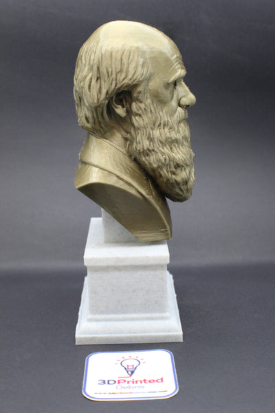 Charles Darwin Famous English Naturalist, Geologist, and Biologist Sculpture Bust on Box Plinth