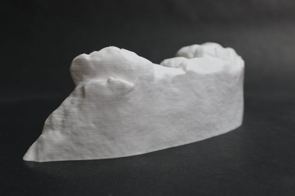 Custom "Roll Your Own" 3D Printed Mt. Rushmore