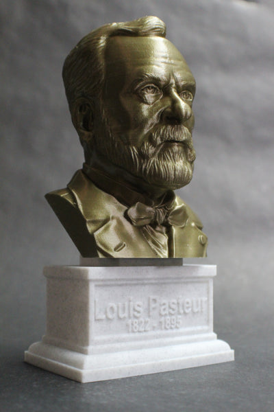 Louis Pasteur French Biologist, Microbiologist, and Chemist Sculpture Bust on Box Plinth