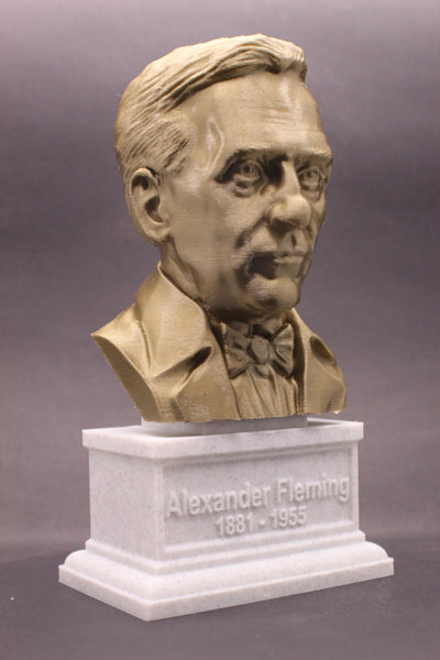 Alexander Fleming Famous Scottish Biologist, Physician, and Pharmacologist Sculpture Bust on Box Plinth