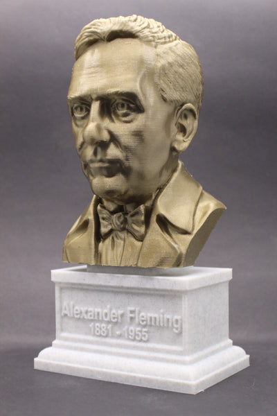 Alexander Fleming Famous Scottish Biologist, Physician, and Pharmacologist Sculpture Bust on Box Plinth