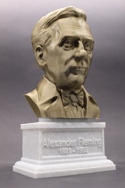 Alexander Fleming Famous Scottish Biologist, Physician, and Pharmacologist Sculpture Bust on Box Plinth