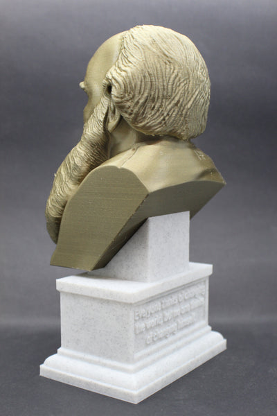 Leo Tolstoy, Famous Russian Writer, Sculpture Bust on Box Plinth