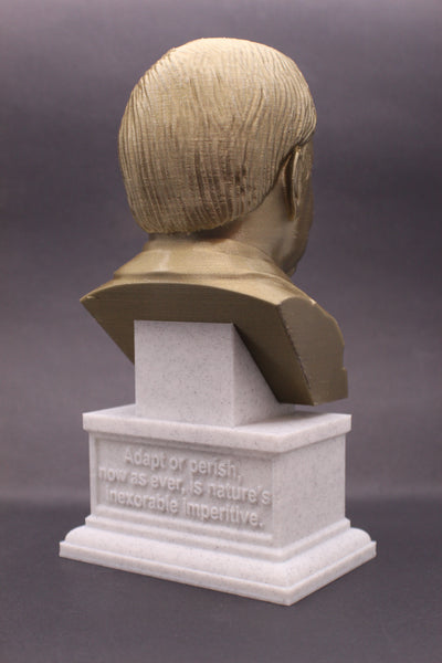 HG Wells, Famous English Writer, Sculpture Bust on Box Plinth