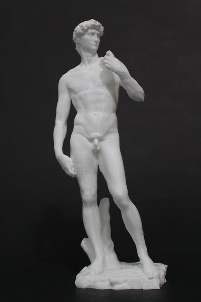 Michaelangelo's David Replica