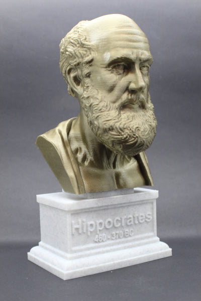 Hippocrates of Kos Greek Physician Father of Medicine Sculpture Bust on Box Plinth