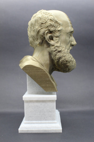 Hippocrates of Kos Greek Physician Father of Medicine Sculpture Bust on Box Plinth