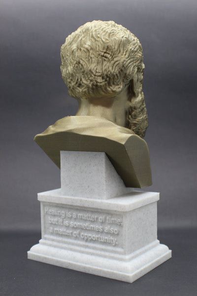 Hippocrates of Kos Greek Physician Father of Medicine Sculpture Bust on Box Plinth