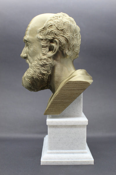 Hippocrates of Kos Greek Physician Father of Medicine Sculpture Bust on Box Plinth