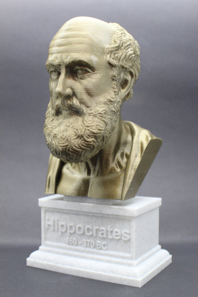 Hippocrates of Kos Greek Physician Father of Medicine Sculpture Bust on Box Plinth