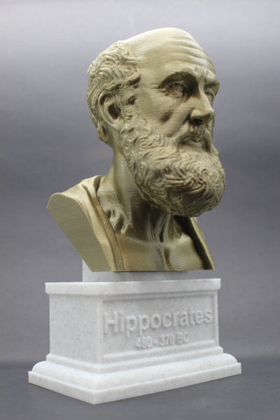 Hippocrates of Kos Greek Physician Father of Medicine Sculpture Bust on Box Plinth