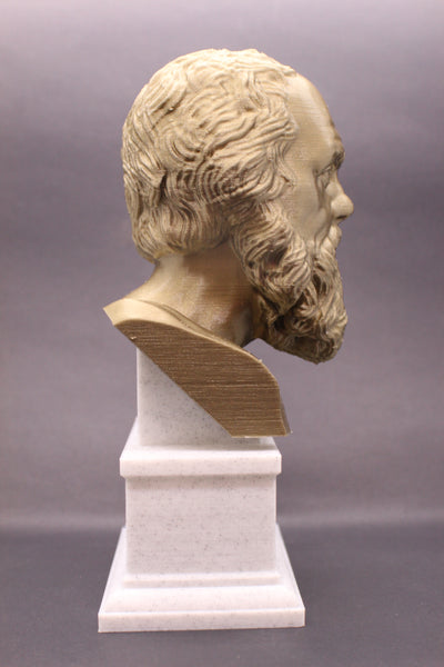 Socrates Greek Philosopher Sculpture Bust on Box Plinth