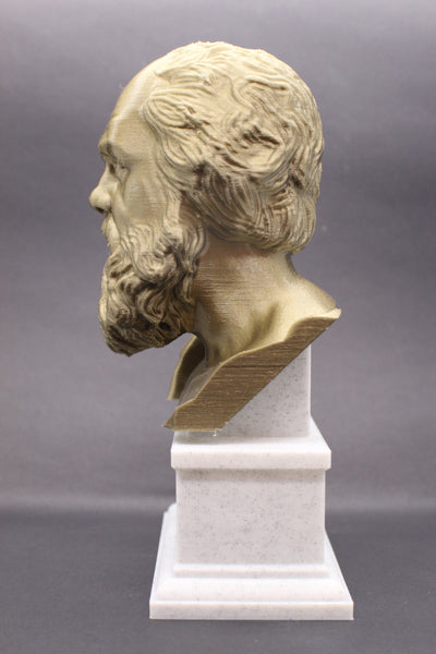 Socrates Greek Philosopher Sculpture Bust on Box Plinth