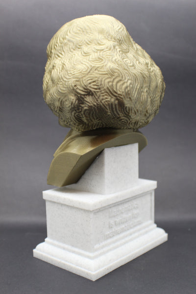 Nicolaus Copernicus Renaissance-era Polymath Sculpture Bust on Box Plinth