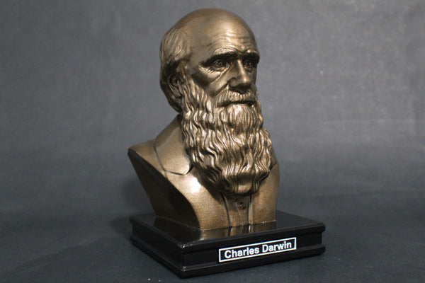 Charles Darwin, Famous English Naturalist, Geologist, and Biologist, Premium Sculpture Bust