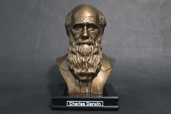 Charles Darwin, Famous English Naturalist, Geologist, and Biologist, Premium Sculpture Bust