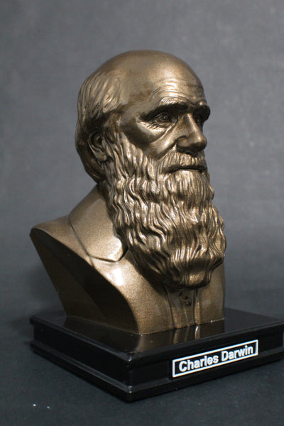 Charles Darwin, Famous English Naturalist, Geologist, and Biologist, Premium Sculpture Bust