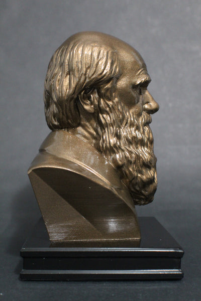 Charles Darwin, Famous English Naturalist, Geologist, and Biologist, Premium Sculpture Bust