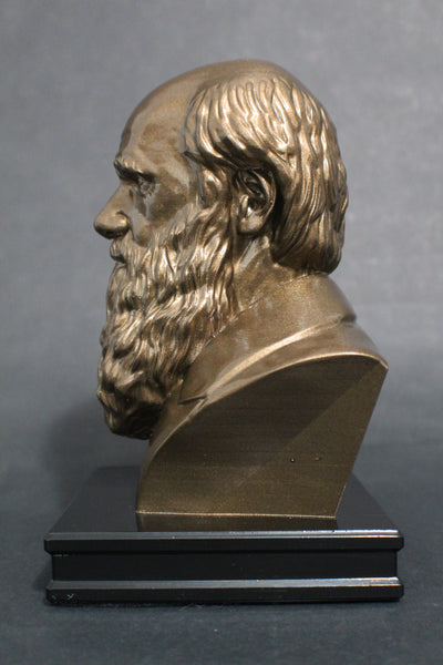 Charles Darwin, Famous English Naturalist, Geologist, and Biologist, Premium Sculpture Bust
