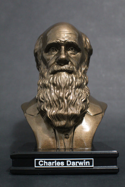 Charles Darwin, Famous English Naturalist, Geologist, and Biologist, Premium Sculpture Bust