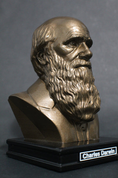 Charles Darwin, Famous English Naturalist, Geologist, and Biologist, Premium Sculpture Bust