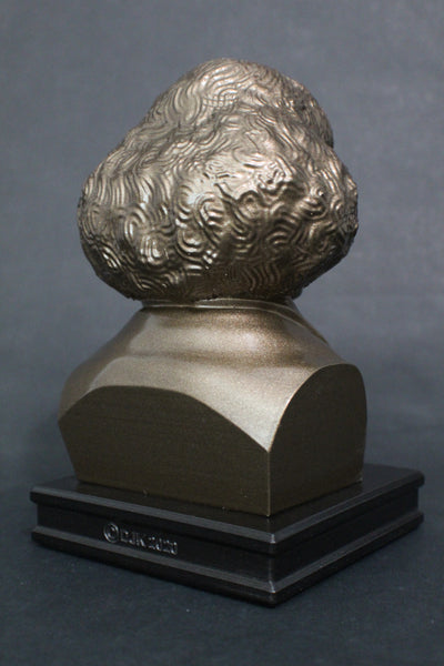 Nicolaus Copernicus, Renaissance-era Polymath, Premium Sculpture Bust