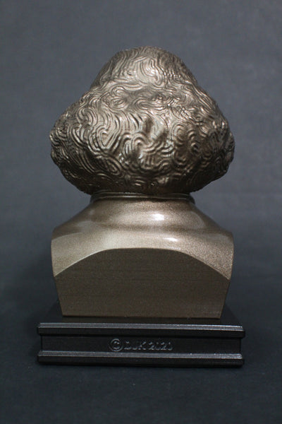 Nicolaus Copernicus, Renaissance-era Polymath, Premium Sculpture Bust