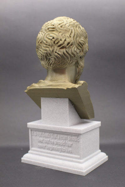 Marcus Aurelius Roman Emperor and Philosopher Sculpture Bust on Box Plinth