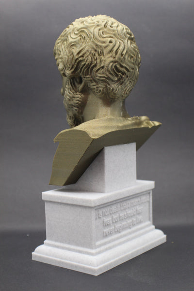 Marcus Aurelius Roman Emperor and Philosopher Sculpture Bust on Box Plinth