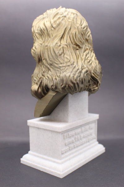 Isaac Newton Famous English Mathematician, Physicist and Astronomer Sculpture Bust on Box Plinth