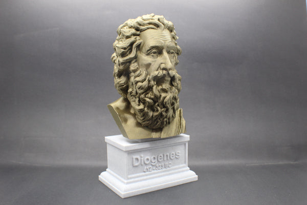 Diogenes the Cynic Greek Philosopher Sculpture Bust on Box Plinth