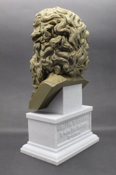 Diogenes the Cynic Greek Philosopher Sculpture Bust on Box Plinth